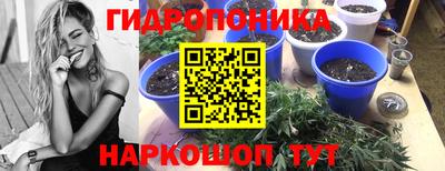 спайс Кулебаки