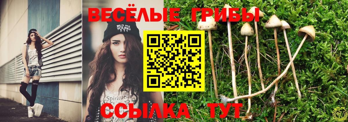 Галлюциногенные грибы GOLDEN TEACHER Домодедово