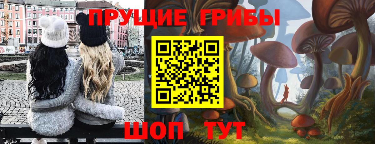 Псилоцибиновые грибы Psilocybine cubensis  Вход с VPN  Домодедово  Галлюциногенные грибы мицелий 